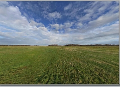 Wiese im Gaushorner Moor